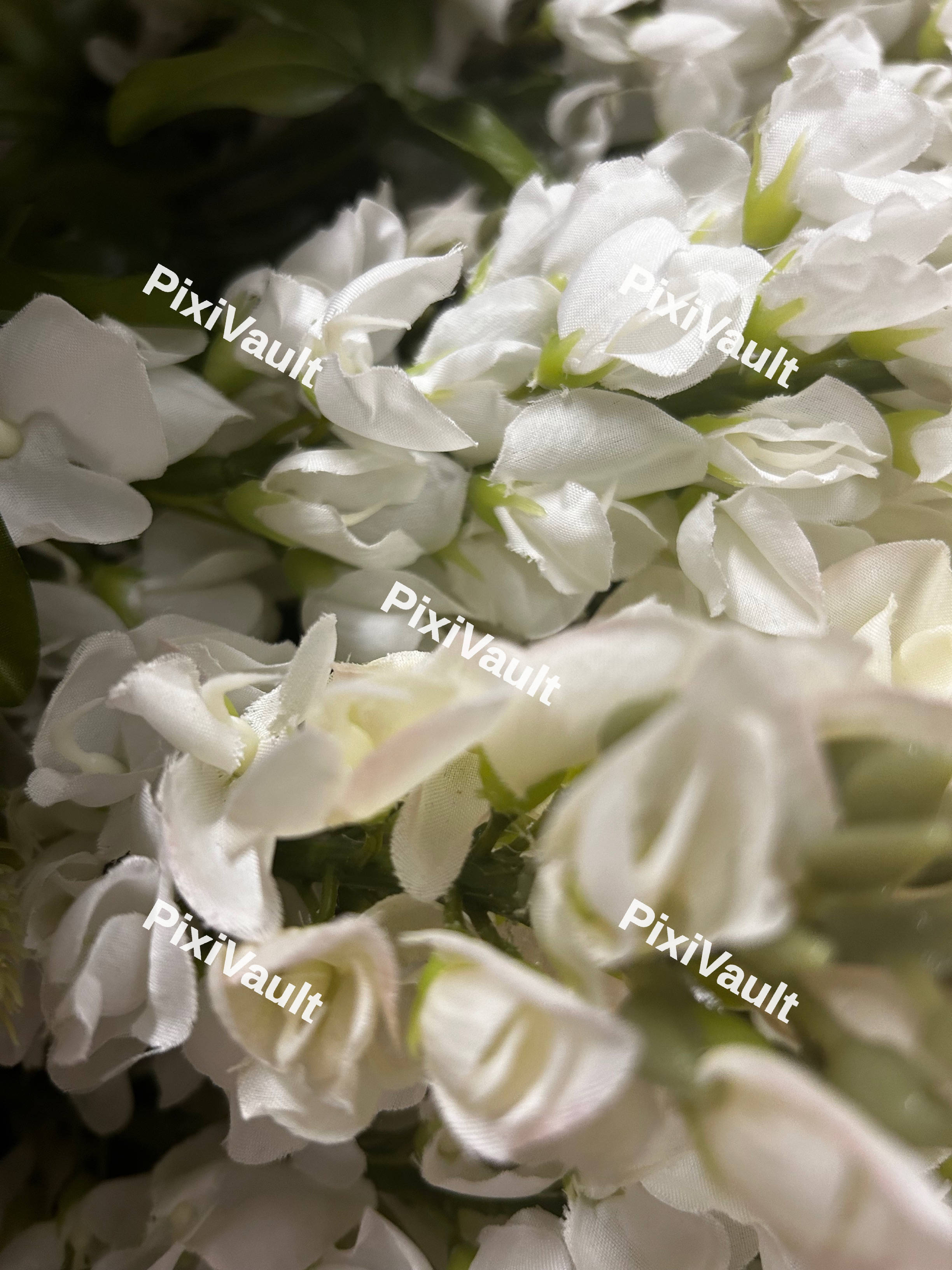 White Flowers